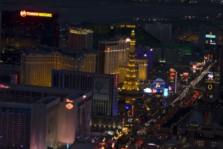 20101105_las_vegas_2674